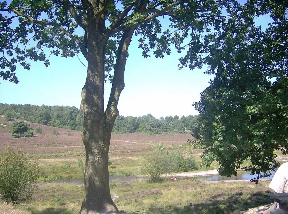 Brunssum: Brunssummerheideoverview